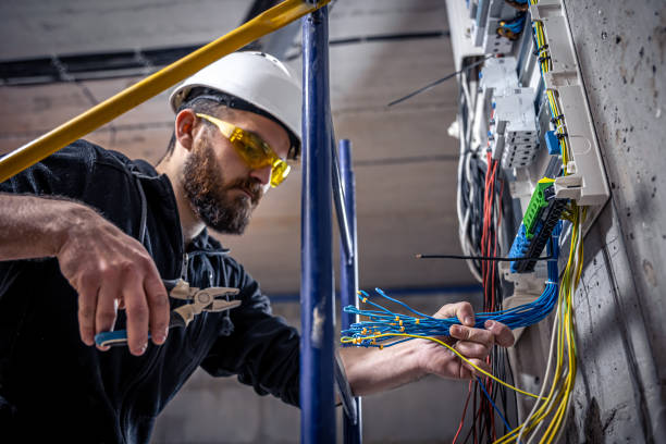 Best Electric Panel Repair  in Corcoran, MN