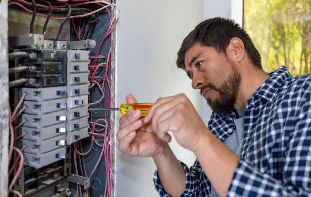 Best Affordable Electrician  in Corcoran, MN